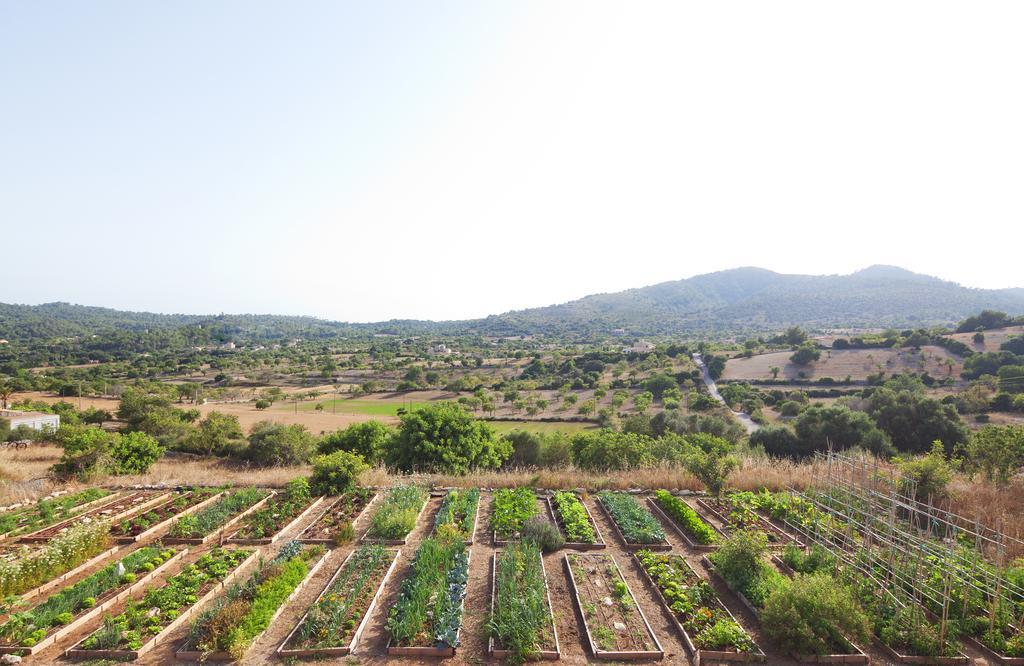 Agroturismo Ses Cases De Fetget (Adults Only) Son Servera Kültér fotó